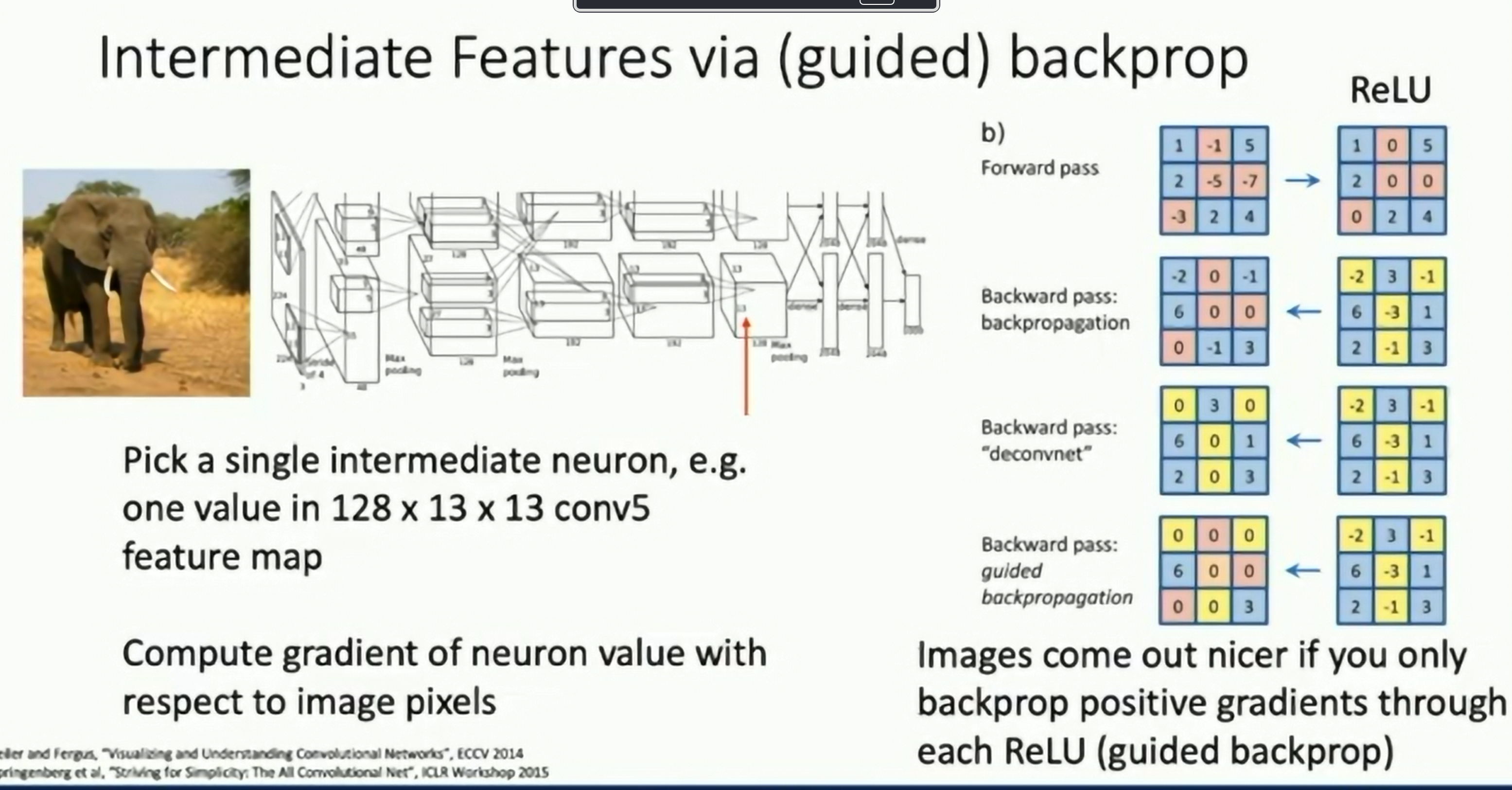 Guided Backpropagation